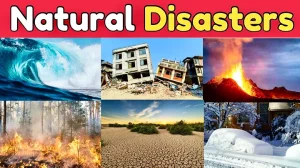 Natural Disasters for Kids Names