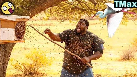 TOTAL IDIOTS AT WORK | Instant Regret Fails Compilation 2025 #189 | TRY NOT TO LAUGH