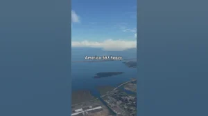 The Tragic Disaster Of American Airlines Flight 587 #aviation #travel #atc