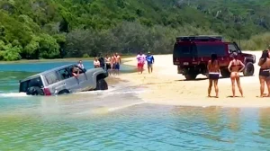 Best Viral Fails 2025 100% Brain Rot